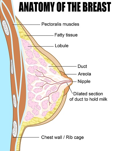 What are the causes and treatments for yeast infection under the breast?