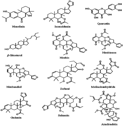 Chemical-Constituents-Present-in-Neem-leaf